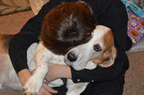 Boy Hugging Basset Hound