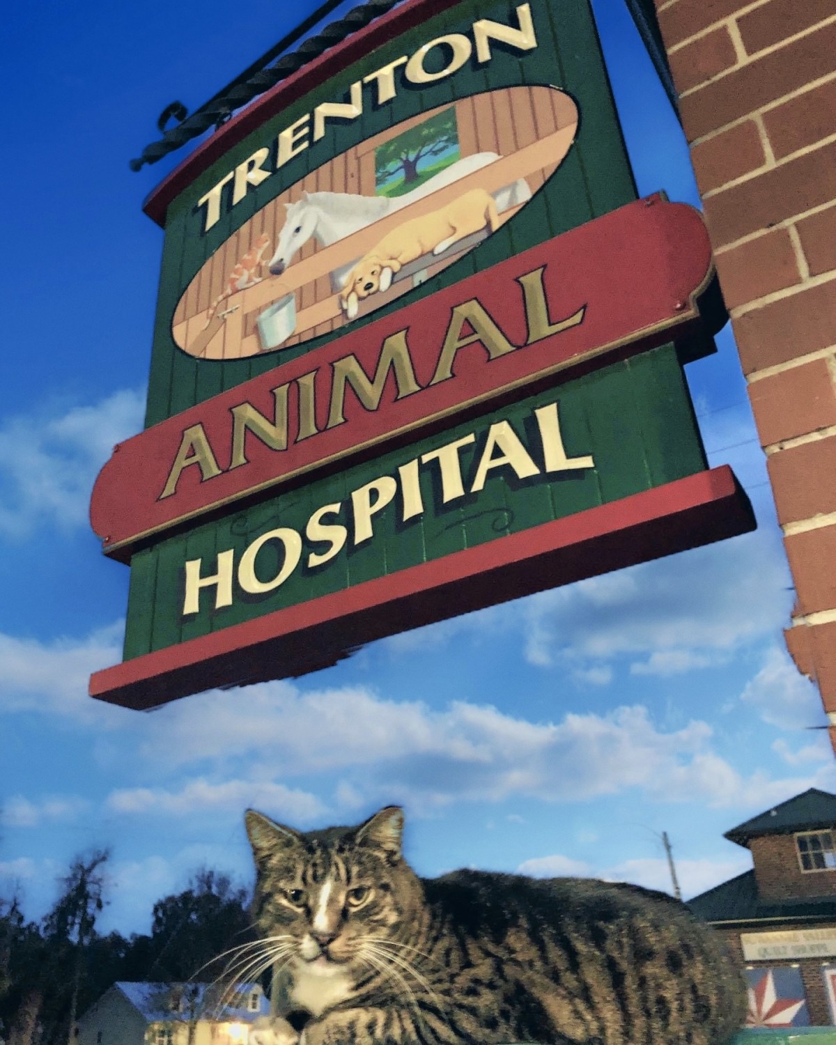 Trenton Animal Hospital Sign