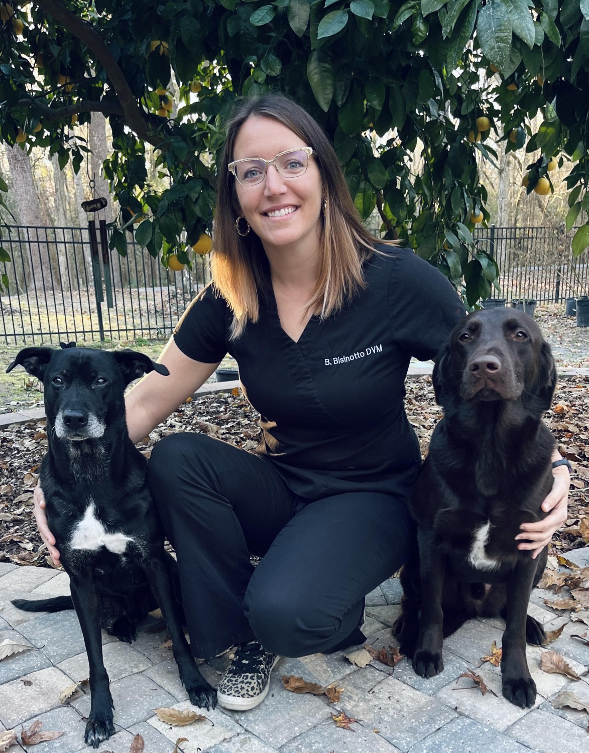 Brittany Bisinotto, DVM Brittany Bisinotto, DVM