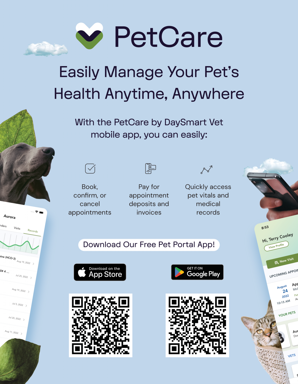 PetCare Infographic