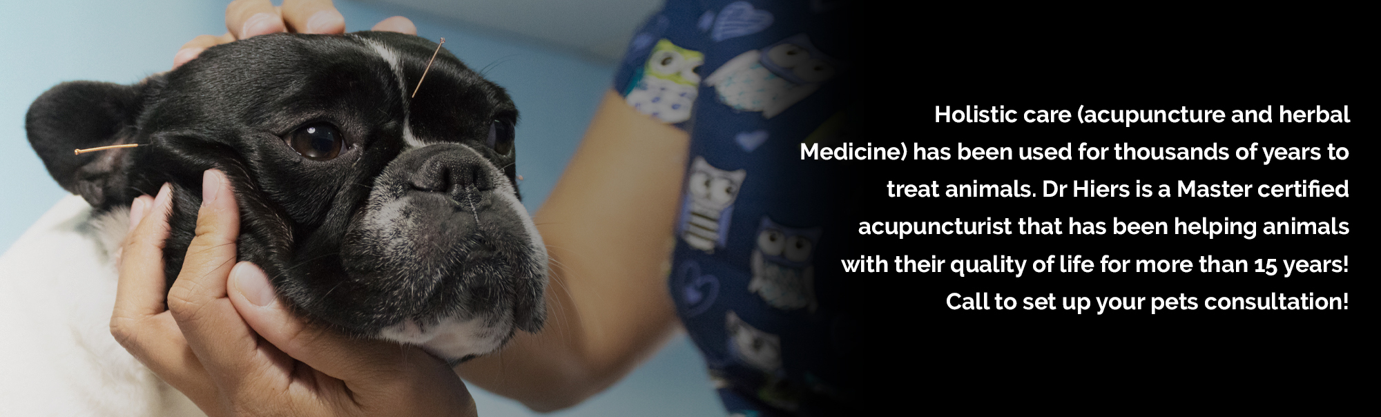 Holistic Care (acupuncture and herbal medicine) has been used for thousands of years to treat animals.  Dr Hiers is a Master certified acupuncturist that has been helping animals with their quality of life for more than 15 years! 